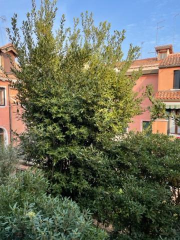 Apartamento Ca' Della Carita'